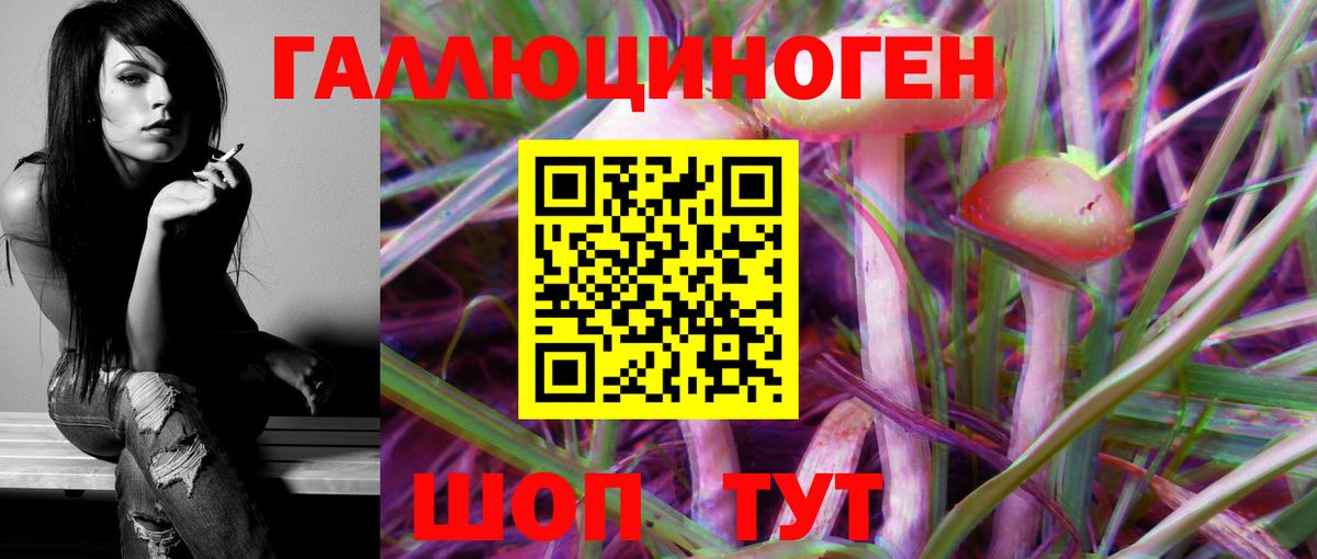 Псилоцибиновые грибы мухоморы Михайловск